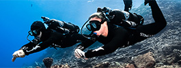 Avelo Instructor header image
