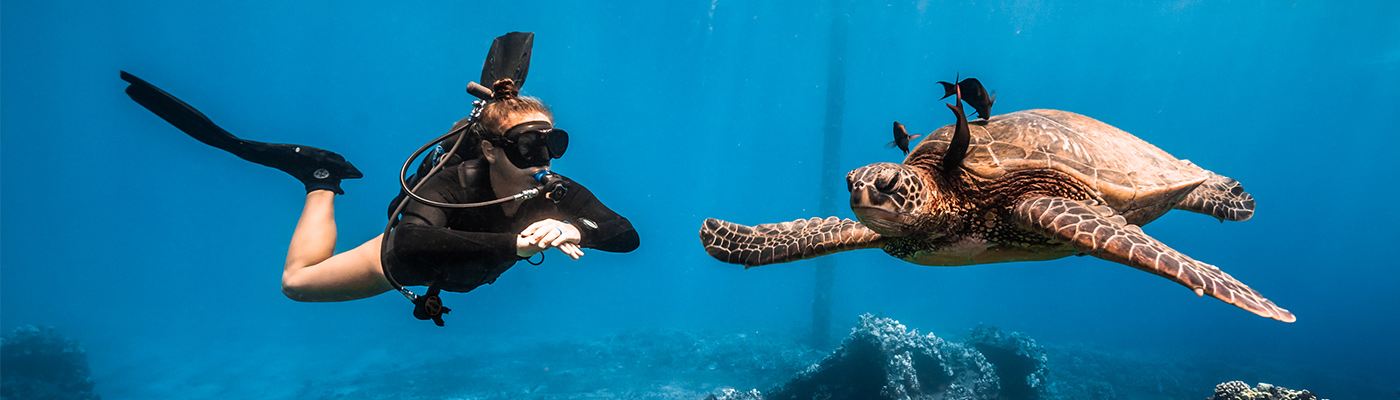 What is the Avelo Dive System Key Largo header image